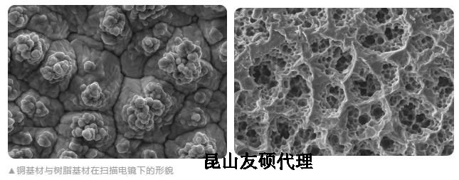 丰满蔡司丰满扫描电镜