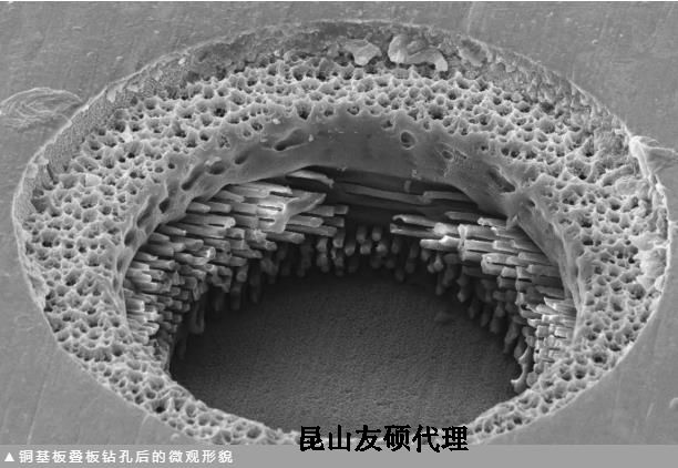 丰满蔡司丰满扫描电镜